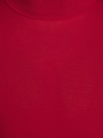 Водолазка, однотон. дл/рукав (029, Бордовый, 48 - S )