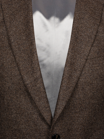 Пиджак, Jaguar SURREY, однотон. (36, Коричневый, 48 - S, 6)