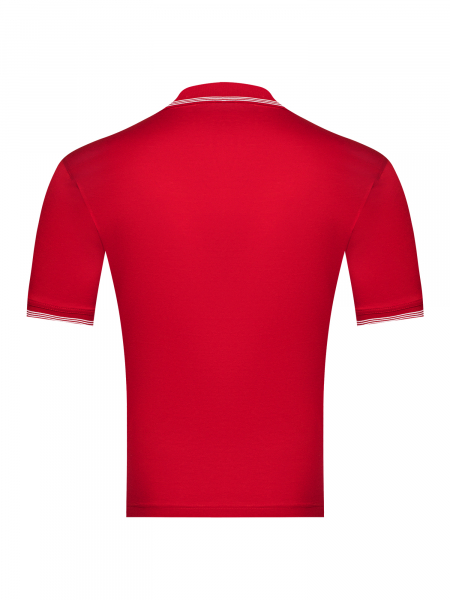 Поло S.M.T., однотонное, гладкое, короткий рукав (001, Красный, 52 - L  рукав 26 см)