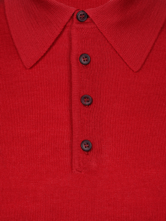 Поло, на пуговицах, дл/рукав (029, Вишня, 62 - 5XL)