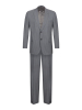 Костюм, BEN, Jaguar, классика, в полоску, 2пуг., 1шл. (24, Серый, 46, 6)