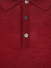Поло на пуговицах,  однотон., дл/рукав (007, Бордо, 52 )